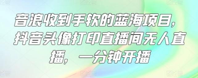 音浪收到手软的蓝海项目,抖音头像打印直播间无人直播,一分钟开播