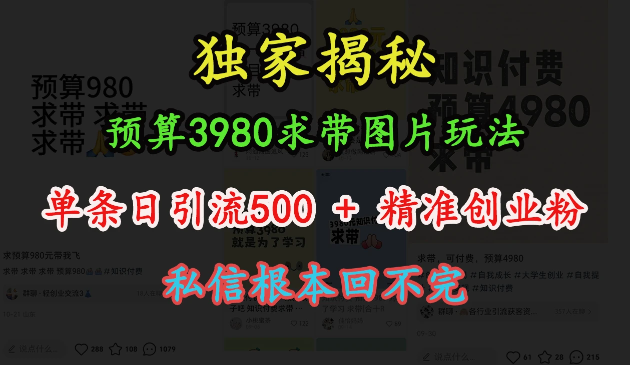 “小红书”预算3980求带 图片玩法,单条日引流500+精准创业粉,私信根本回不完