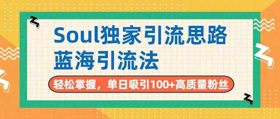 Soul独家引流思路，单日吸引100+高质量粉丝，蓝海引流法，轻松掌握